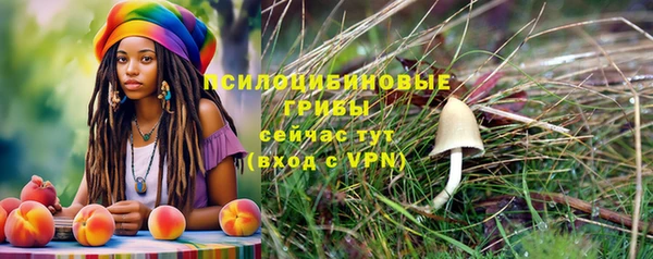 амф Богородицк