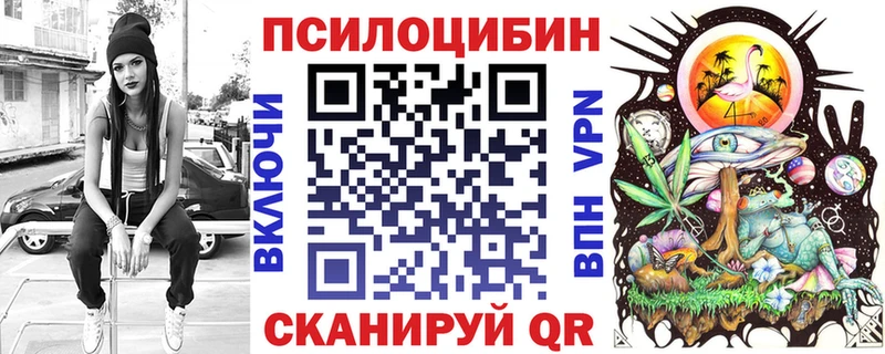 МЕГА как зайти  Красноармейск  Галлюциногенные грибы Cubensis 